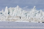250601a_Borebukta_68_E