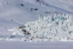 250601a_Borebukta_72_E