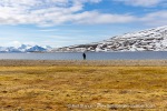 250602a_Skansbukta_07_E
