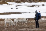 250602c_Gipshuksletta_19_E