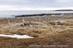 250602c_Gipshuksletta_27_E