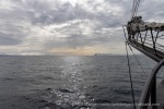 250604b_Isfjord_04_E