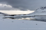 250605a_Trygghamna_91_E