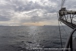 250604b_Isfjord_04_E