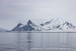 250606c_Kapp-Mitra_02_E