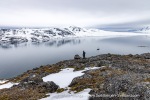 250607a_Bjornhamna_52_E