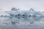 250607b_Smeerenburgbreen_20_E