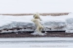 250608a_Alicehamna_070_E