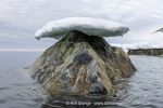 250608b_Hamiltonbukta_013_E