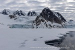 250608b_Hamiltonbukta_066_E