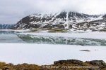 250610a_Signehamna_17_E