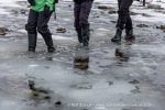 250610a_Signehamna_31_E