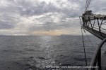 250604b_Isfjord_04_E