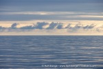 250606c_Kapp-Mitra_04_E