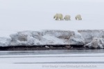250608a_Alicehamna_022_E