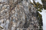 250608b_Hamiltonbukta_009_E