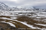 250610a_Signehamna_40_E
