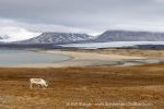250611b_Eidembukta_51_E