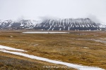 250611c_Colesbukta_24_E