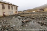 250611c_Colesbukta_04_E