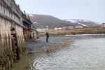 250611c_Colesbukta_08_E
