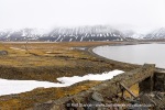 250611c_Colesbukta_18_E