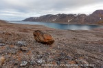 12_f3_Solanderfjellet_21Aug11_51_E