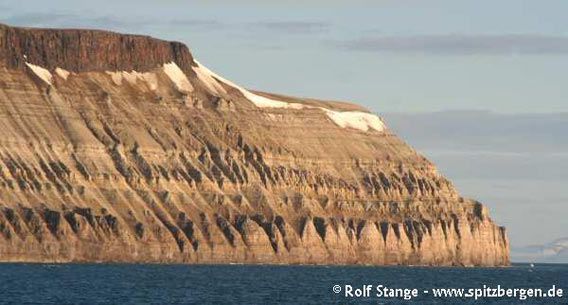 Selanderneset ved inngangen til Wahlenbergfjorden, Hinlopenstretet