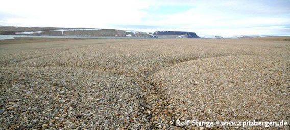 Barren polar desert with ice wedges in Palanderbukta