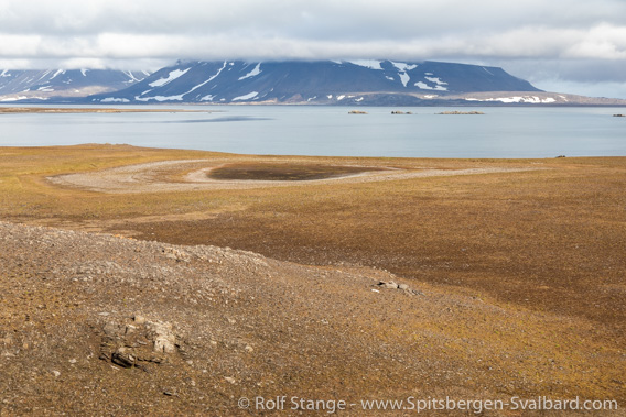 Tokrossøya tundra