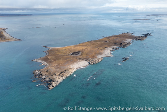 Tokrossøya